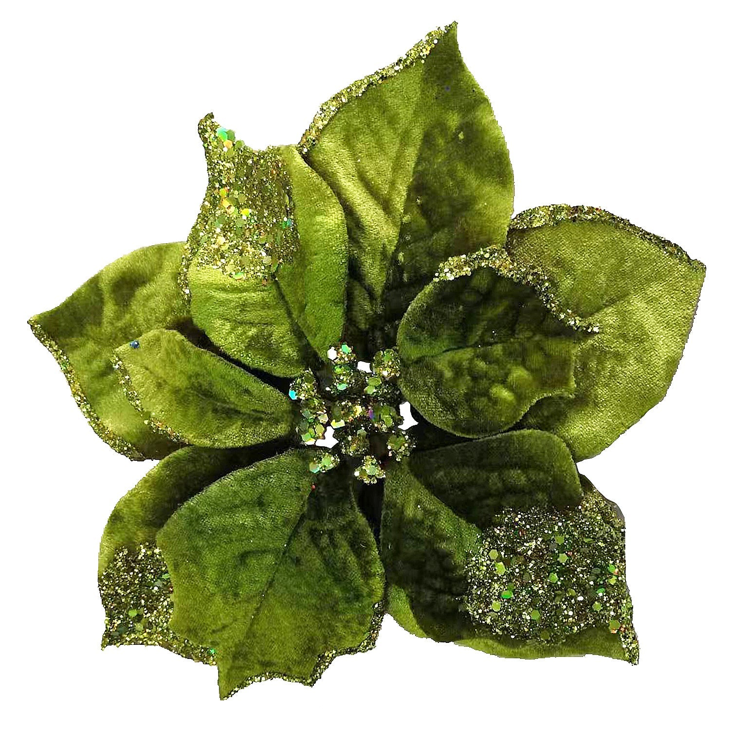 Chartreuse Poinsettia