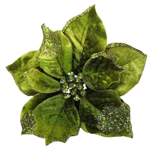 Chartreuse Poinsettia