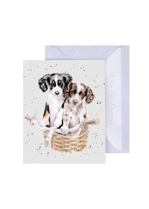 Wrendale Mini Card - Pedals and Paws