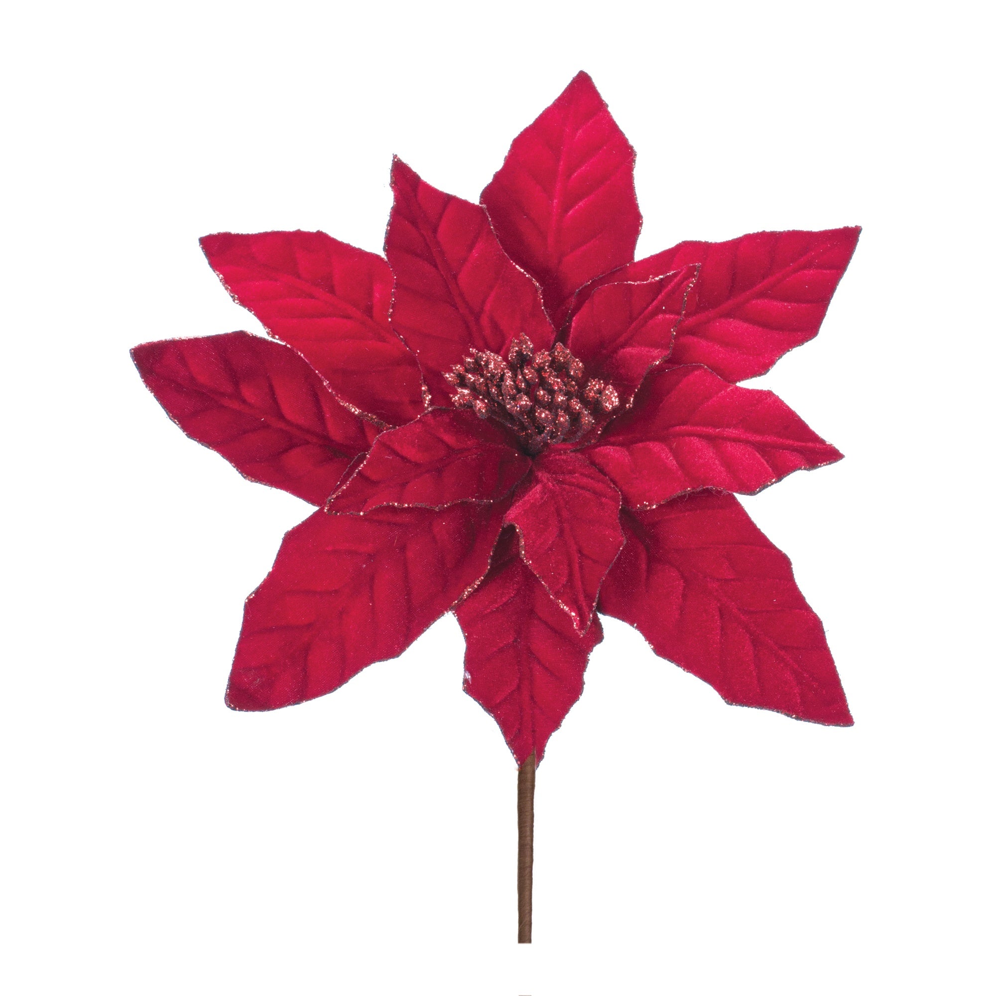 Poinsettia with Glitter Trim