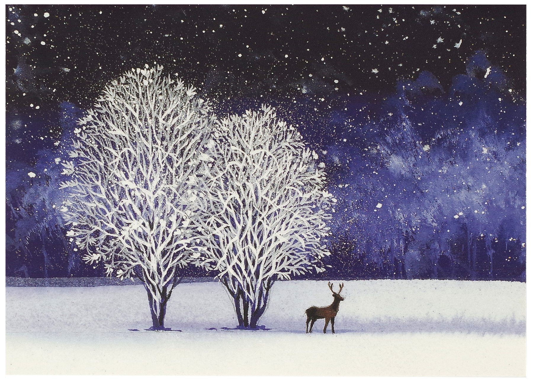 Starry Night Deluxe Boxed Holiday Cards