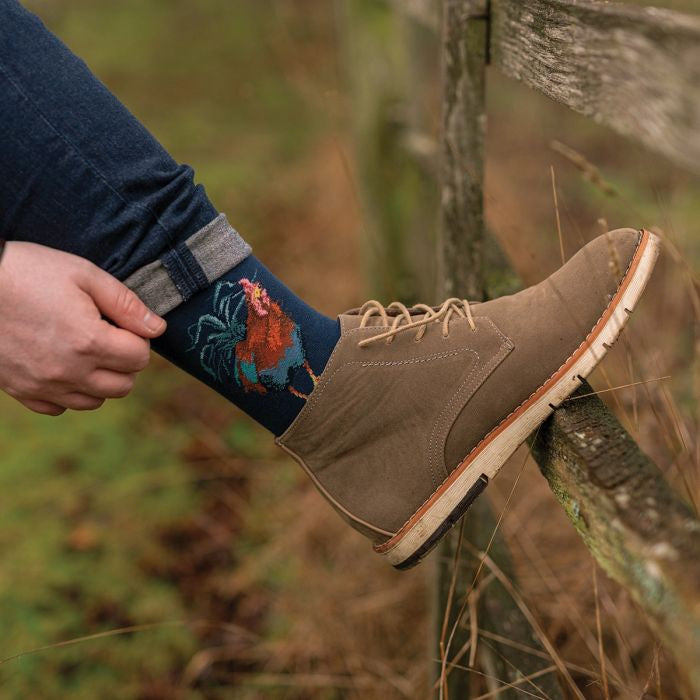 "Colours of the Rainbow" - Wrendale Men's Socks