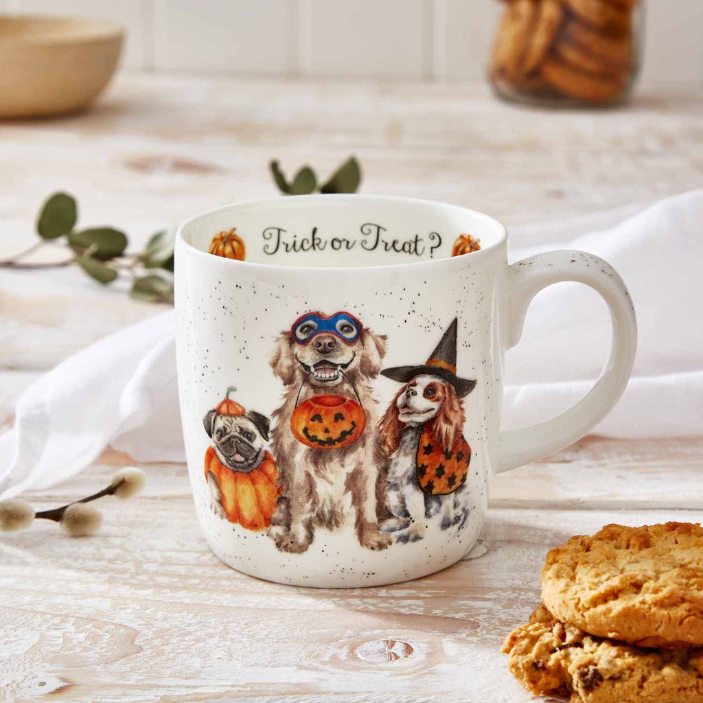 Trick or Treat - 14oz Bone China Mug - Wrendale