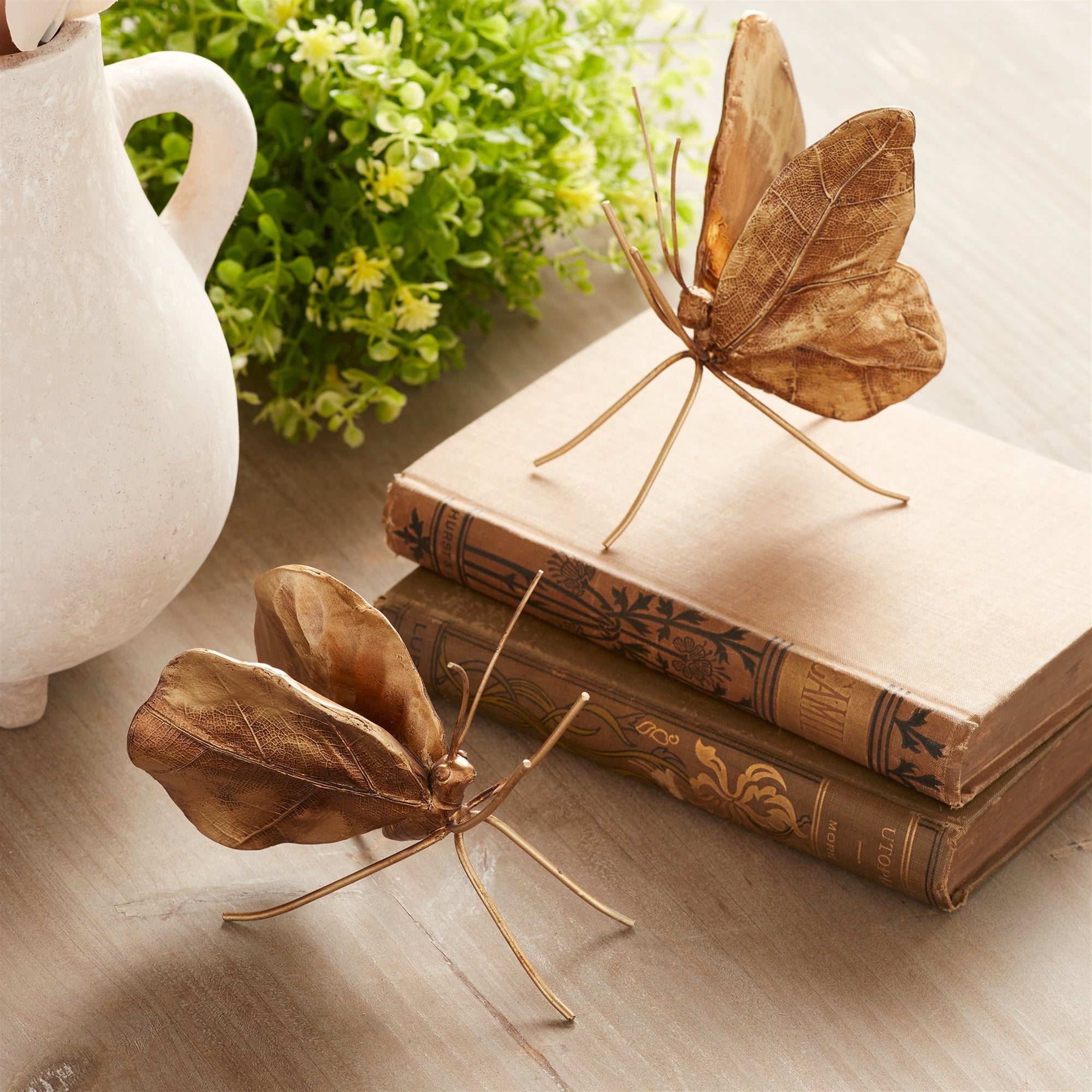 Bronze Conservatory Butterflies