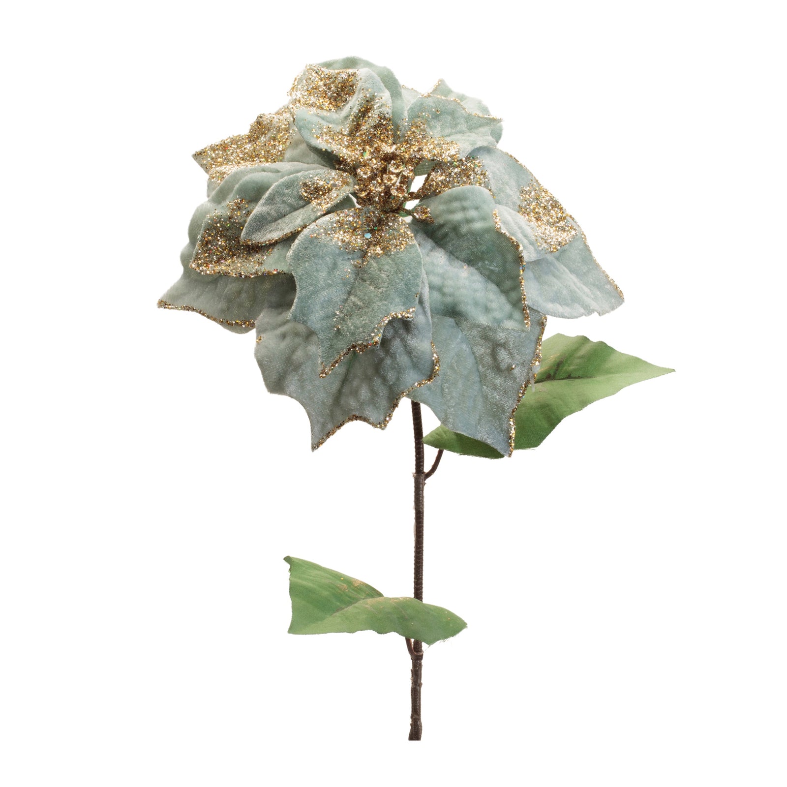 Gold and Sage Poinsettia