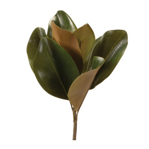 Magnolia Leaf Spray