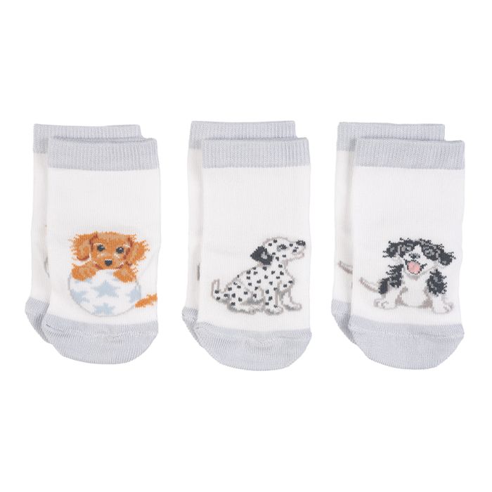 Little Paws Baby Socks Gift Set - Little Wren Collection by Wrendale