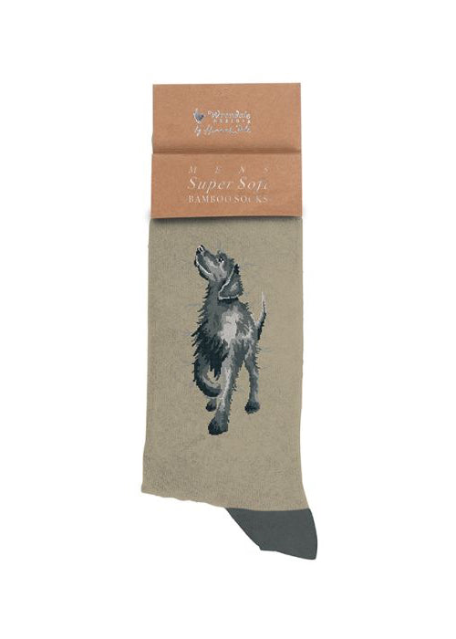 Walkies - Wrendale Men's Socks