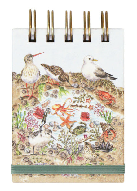Nature Field Notebook - Secrets of the Sea