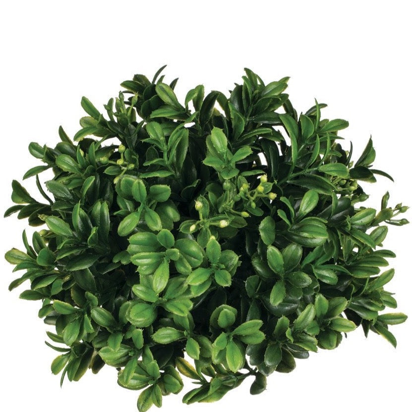 Boxwood Half Orb