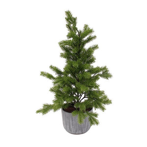 Potted Woodland Fir