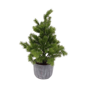 Potted Woodland Fir