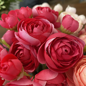 Hot Pink Ranunculus Bunch