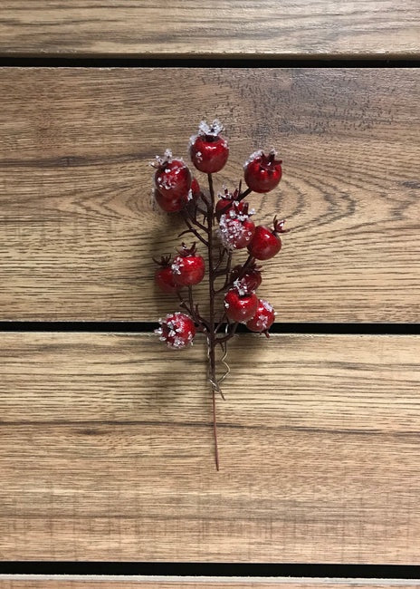 Red Iced Cranberry Pick