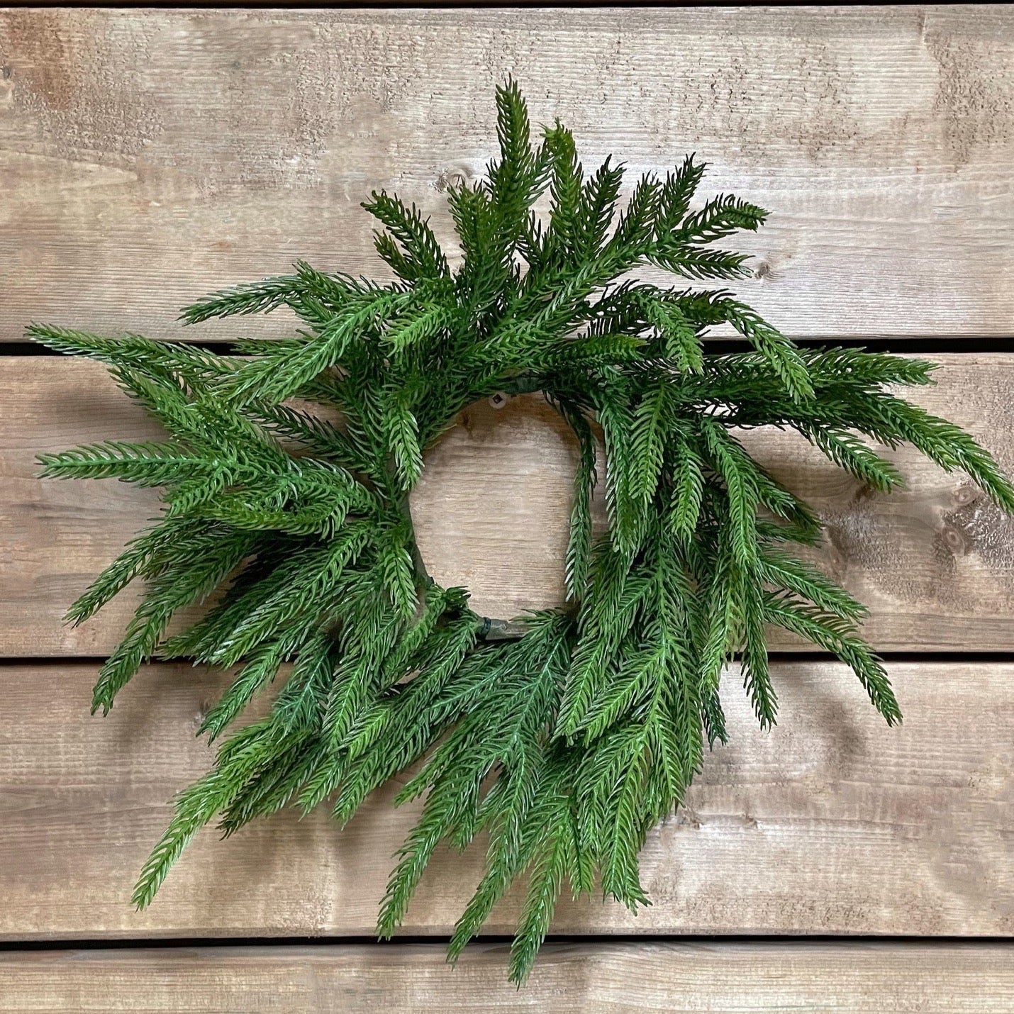 Small Fresh Touch Norfolk Pine Wreath