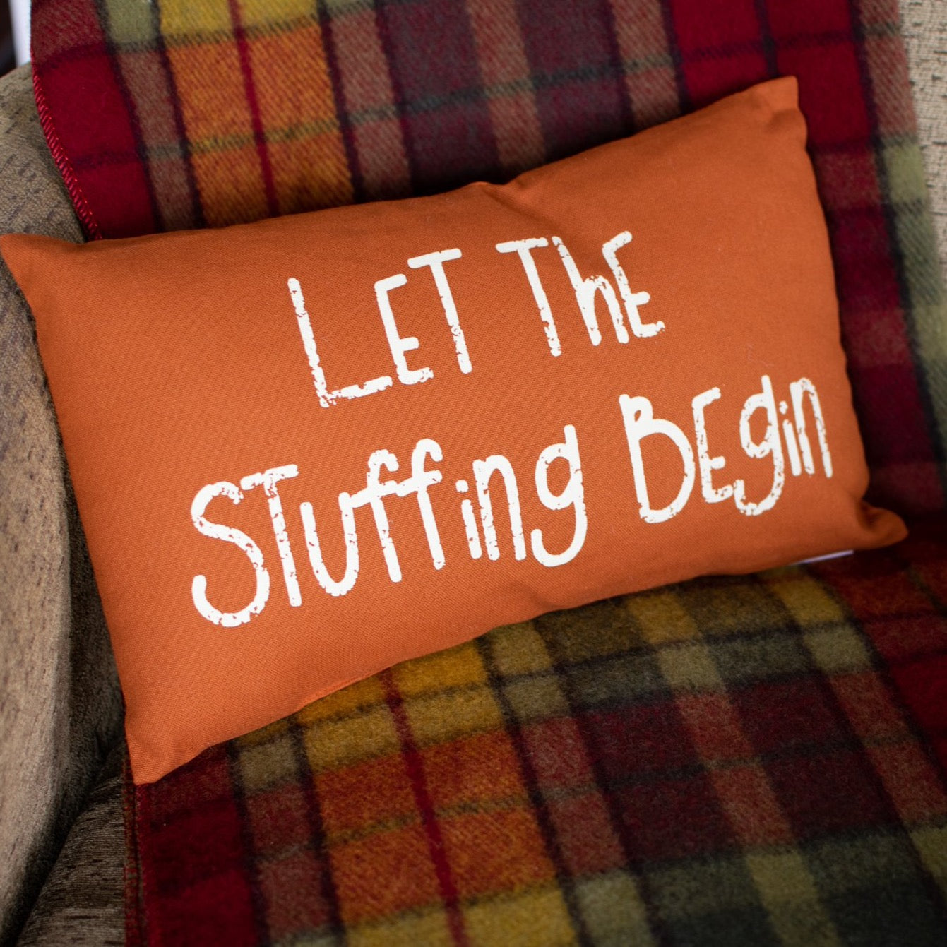 Let Stuffing Begin Accent Pillow