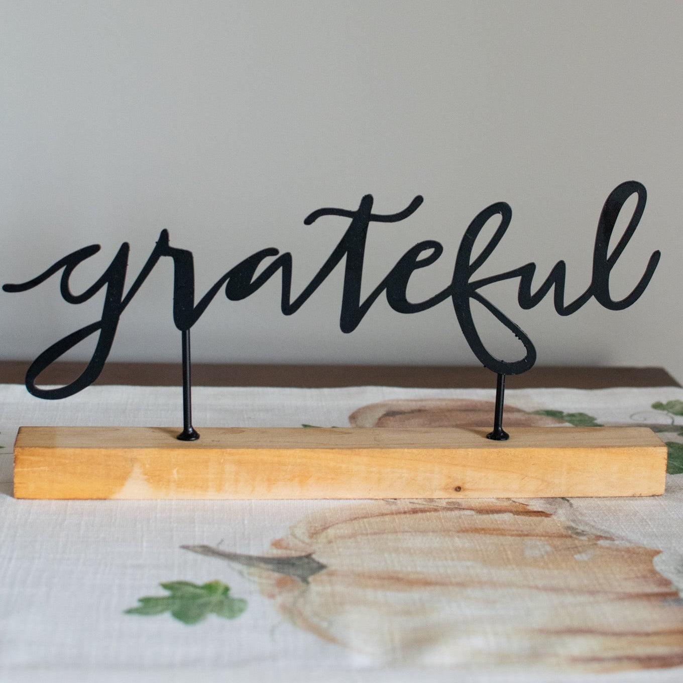 Grateful Shelf Sitter