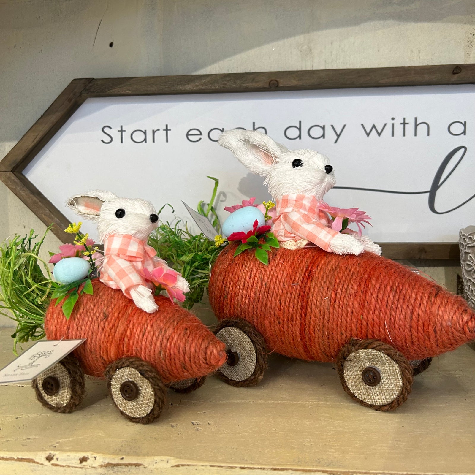 Bunny in Carrot Car - 12"