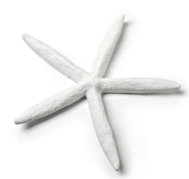Simple White Starfish