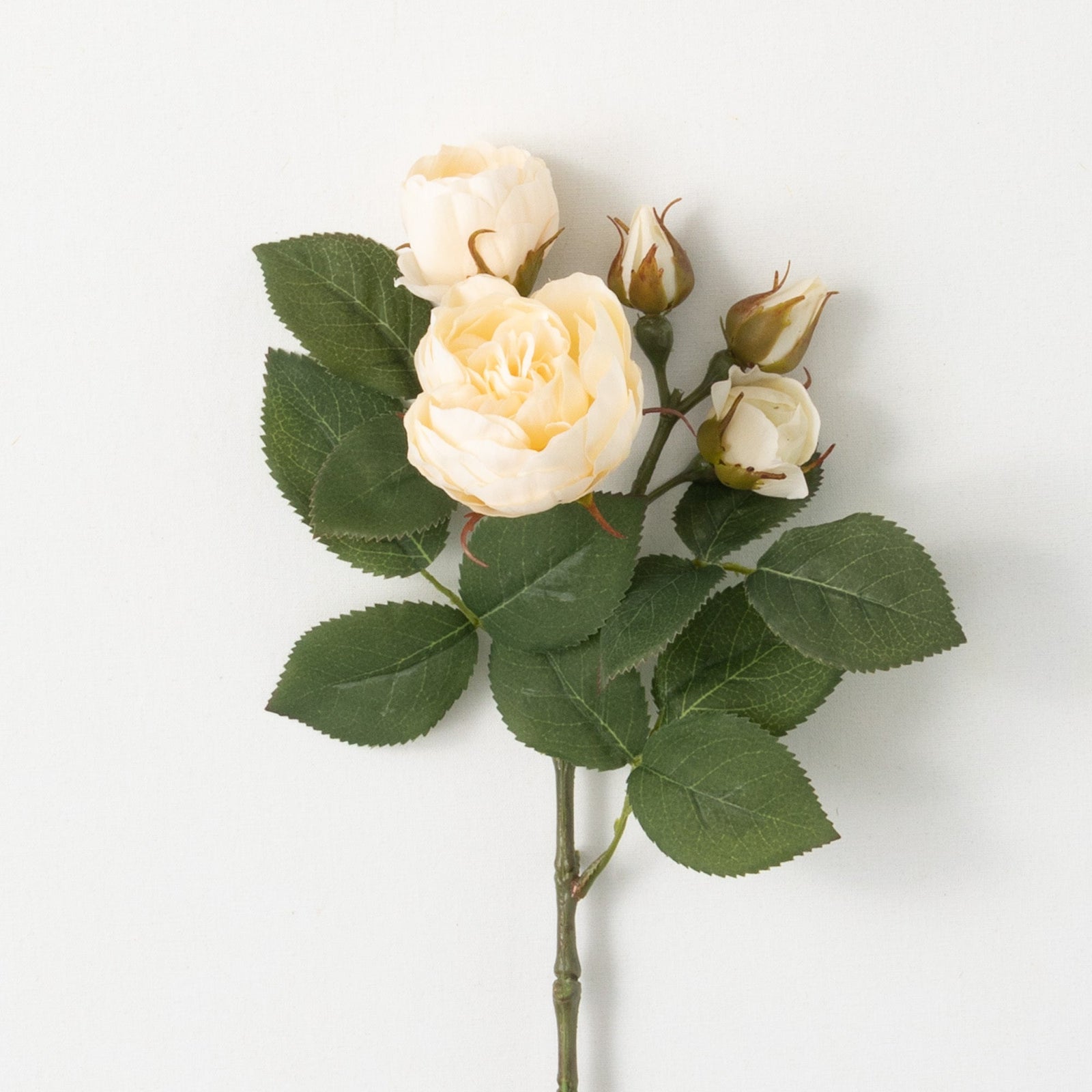 English Rose Spray
