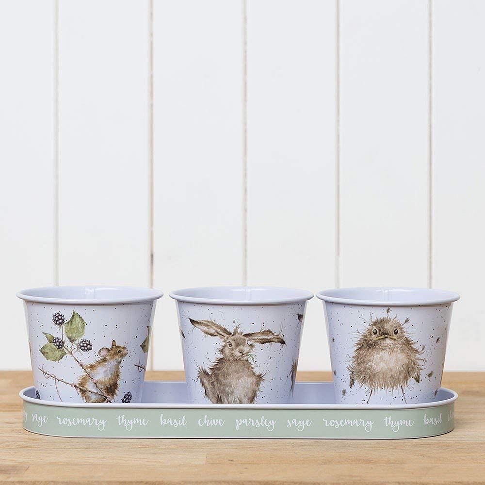 Set of 3 Herb Pots & Tray - Wrendale Mouse