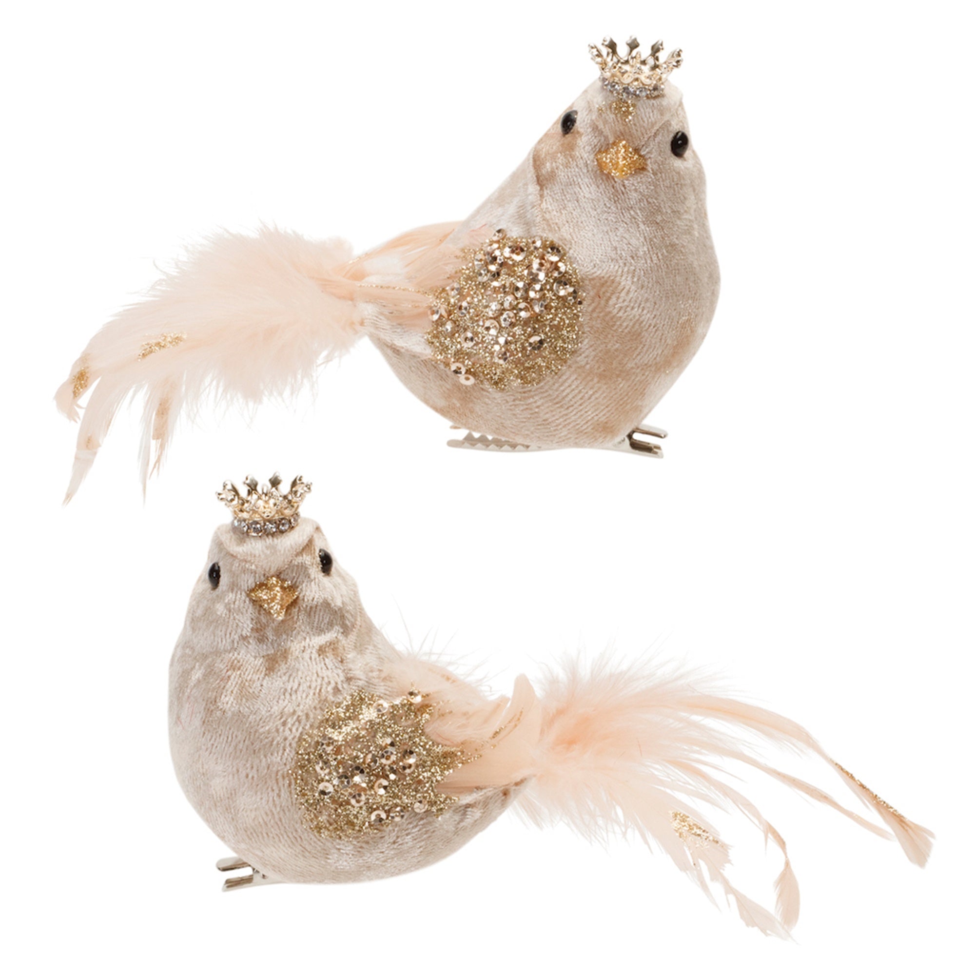 Regal Bird Clip Ornaments